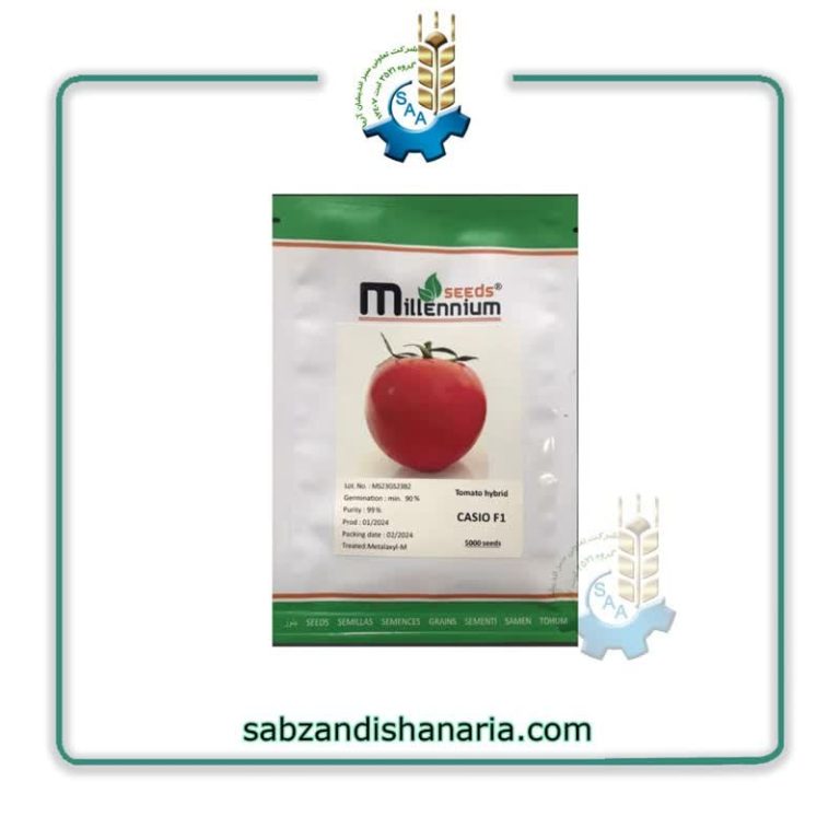 بذر گوجه فرنگی کاسیو