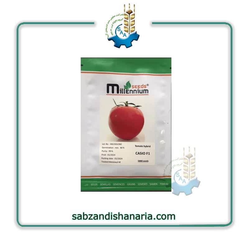 بذر گوجه فرنگی کاسیو