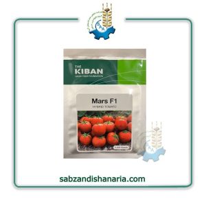 بذر گوجه فرنگی مارس