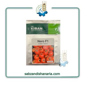 بذر گوجه فرنگی نرو