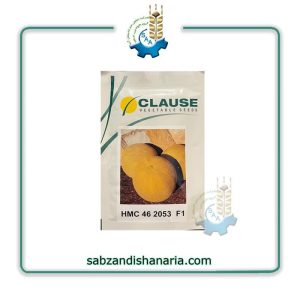 بذر ملون 2053 کلوز