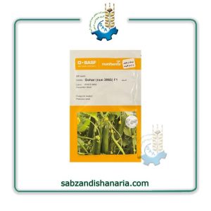 بذر خیار گلخانه ای گوهر