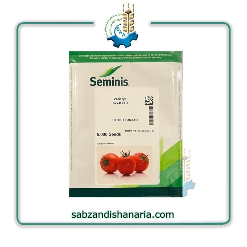 photo_2025-01-07_10-35-37