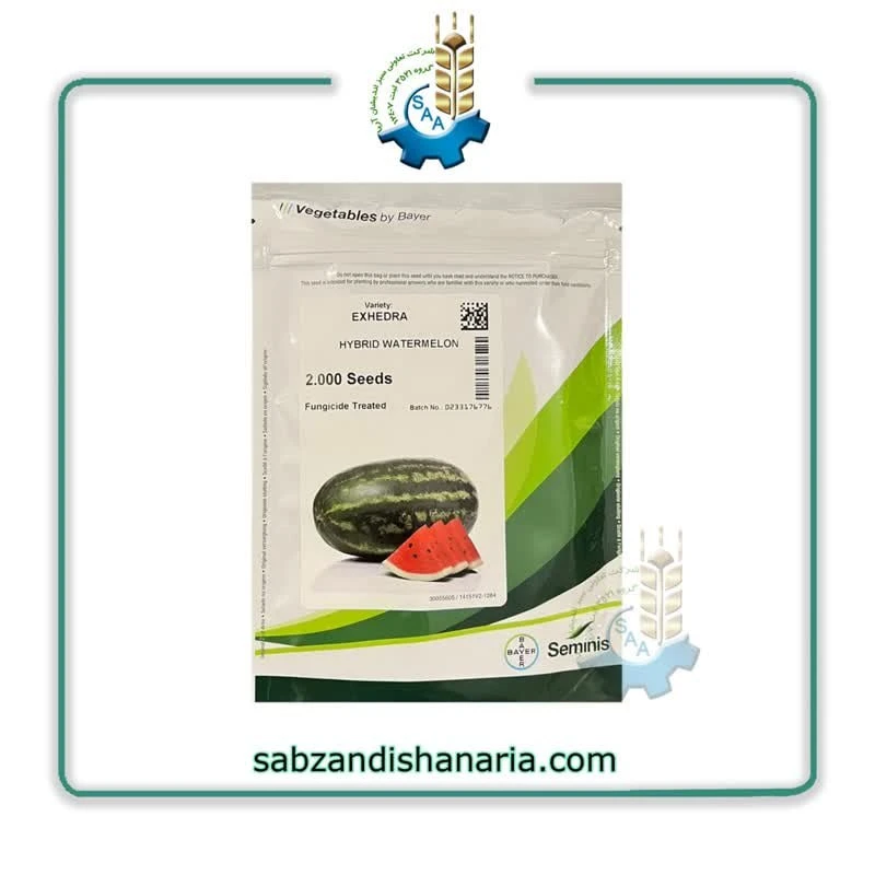 photo_2025-01-07_10-40-56