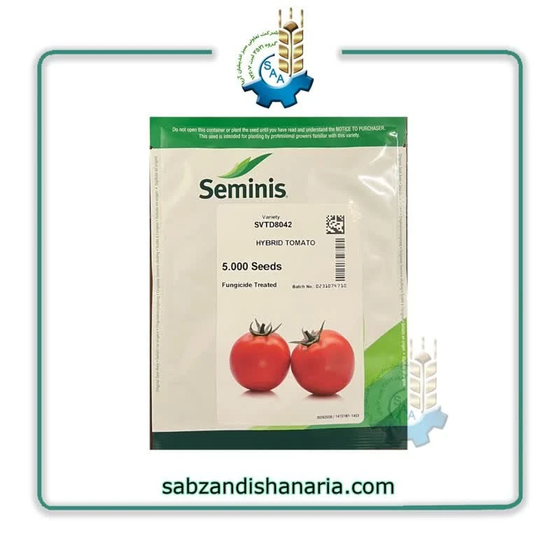 photo_2025-01-07_13-04-25