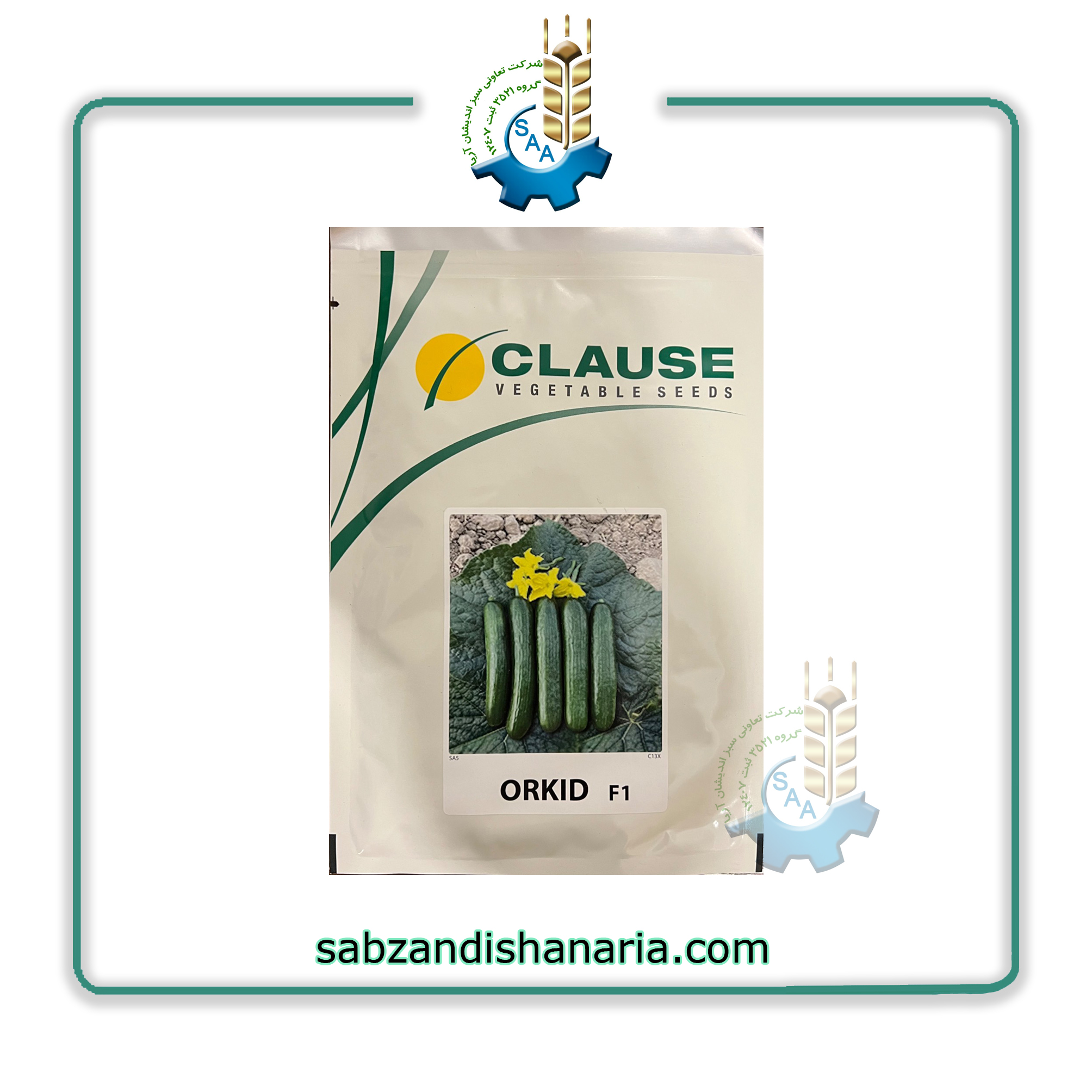 بذر خیار ارکید کلوز